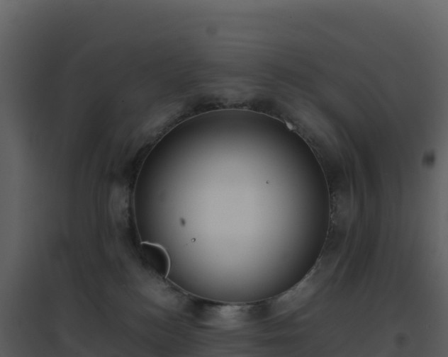 X0000096650184200802121141
