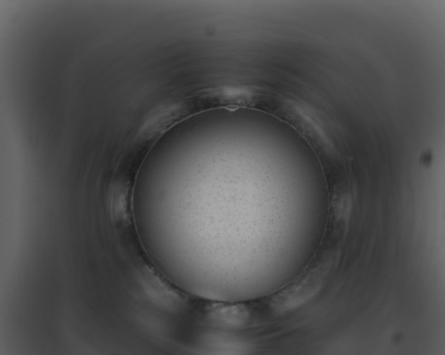 X0000096650185200802121141