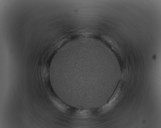 X0000096650186200802121141