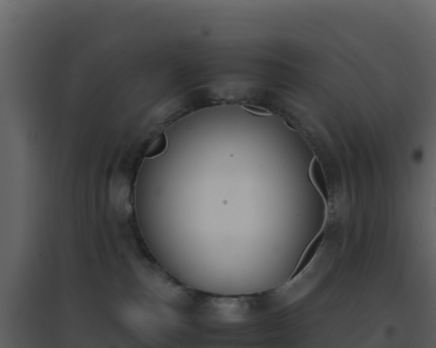 X0000096650187200802121141