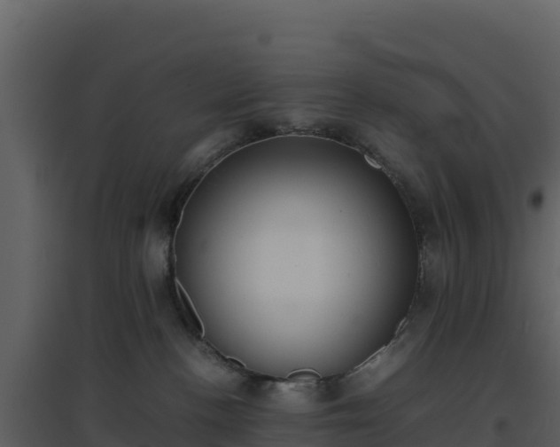 X0000096650188200802121141