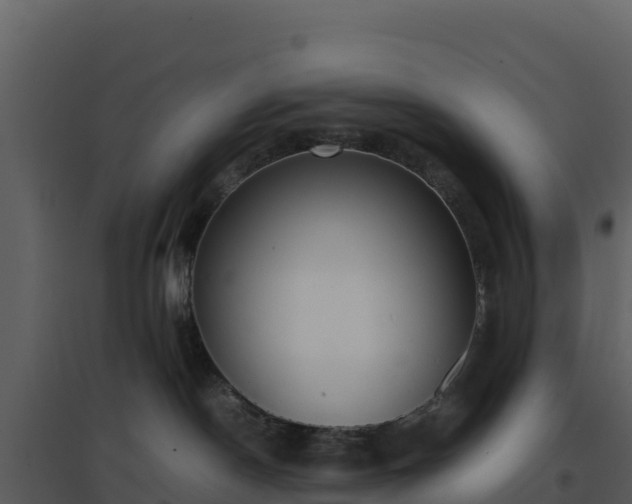 X0000096650190200802121141