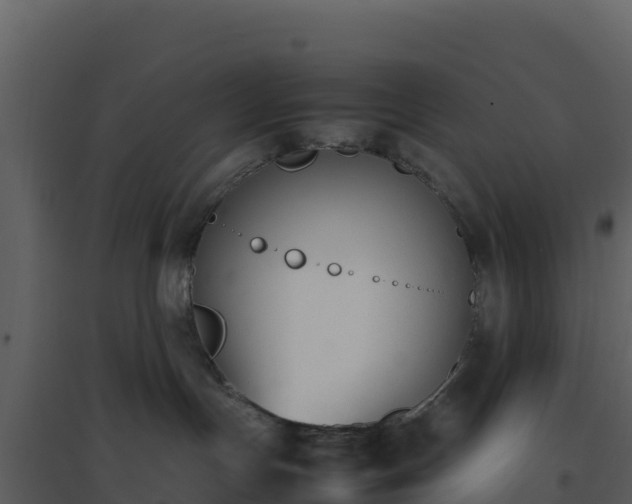 X0000096650191200802121141