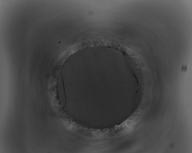 X0000096650192200802121141