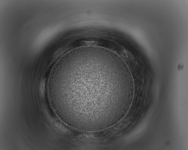 X0000096650194200802121140
