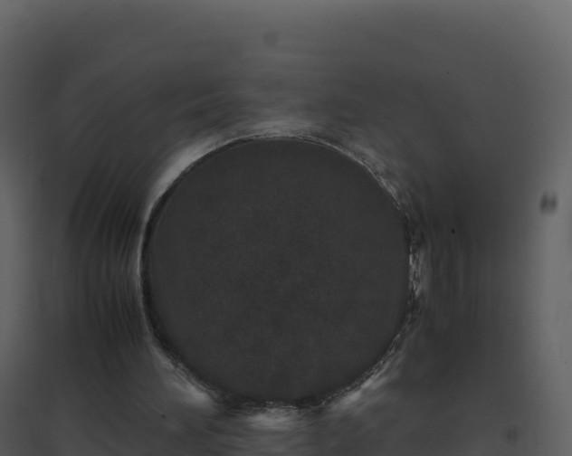 X0000096650196200802121140