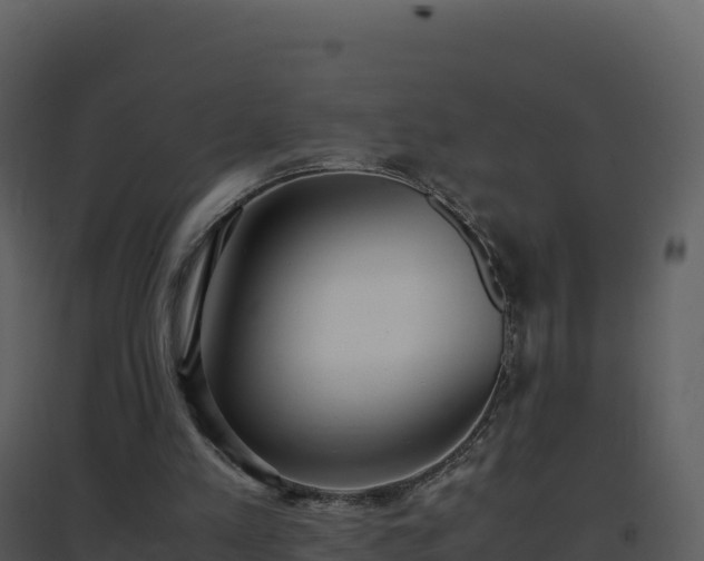 X0000096650197200802121140