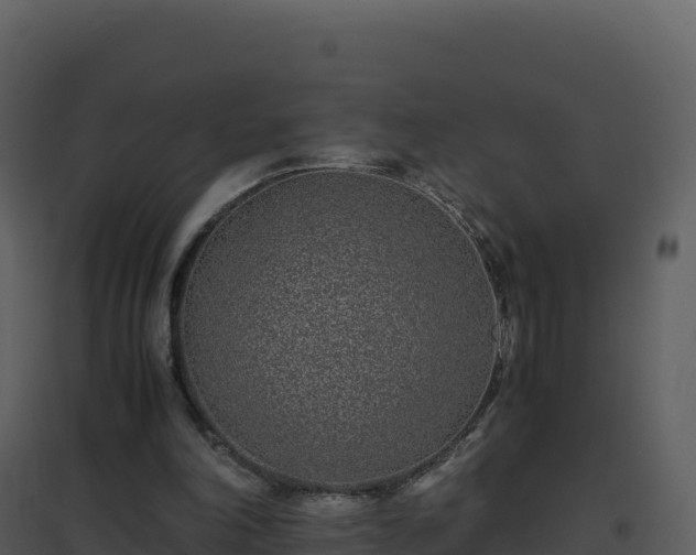 X0000096650198200802121140