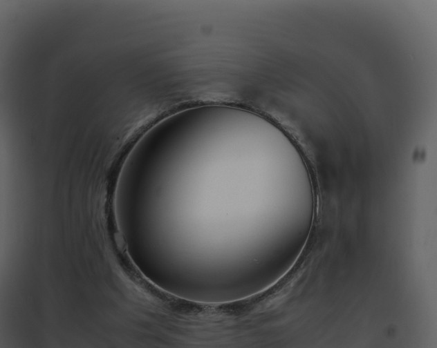 X0000096650201200802121140