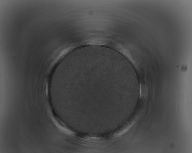 X0000096650205200802121140