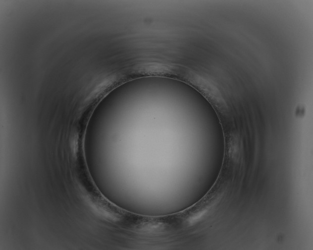 X0000096650206200802121140