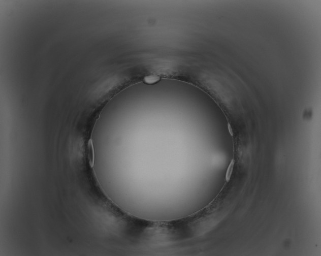 X0000096650211200802121140