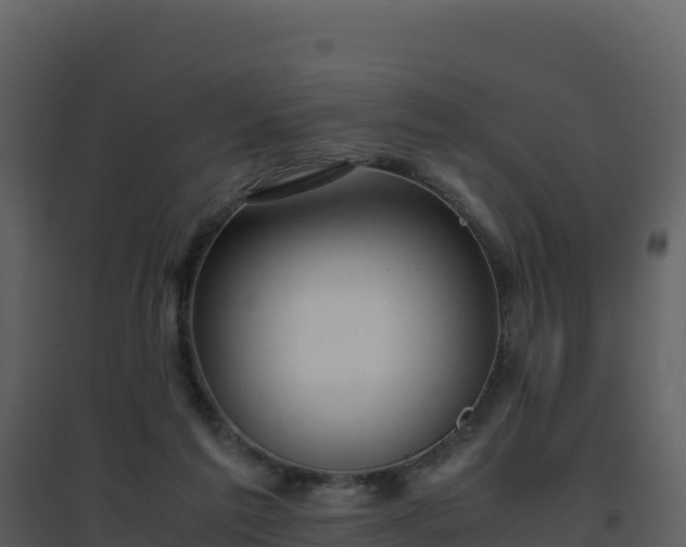 X0000096650213200802121140