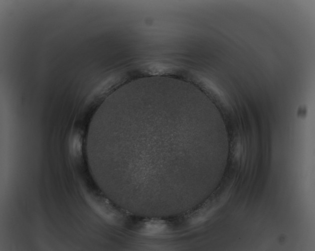 X0000096650214200802121140