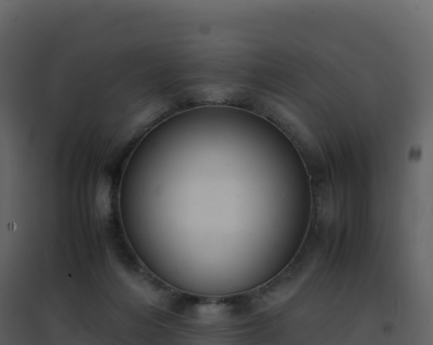 X0000096650216200802121140