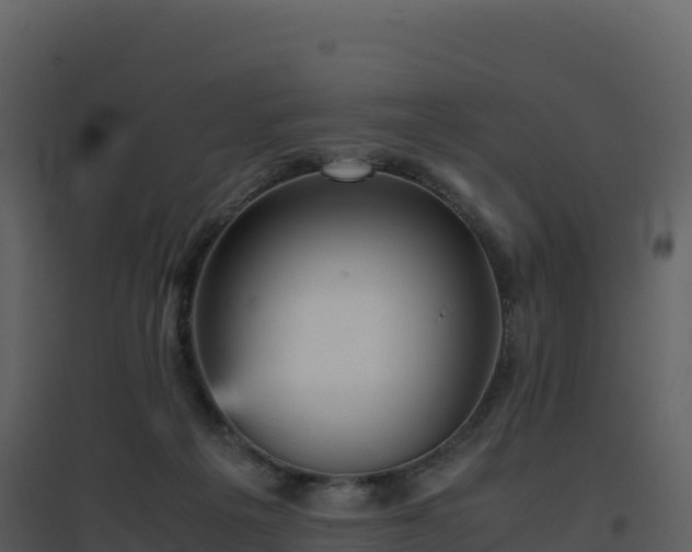 X0000096650217200802121140