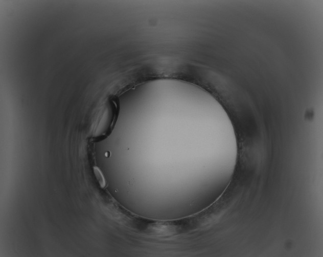 X0000096650221200802121140