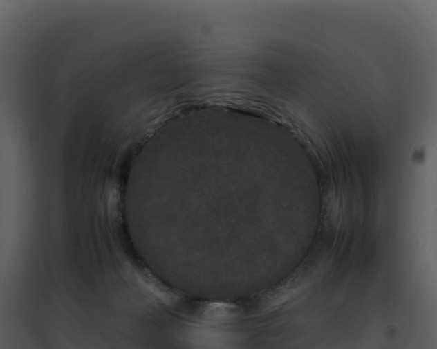 X0000096650222200802121140