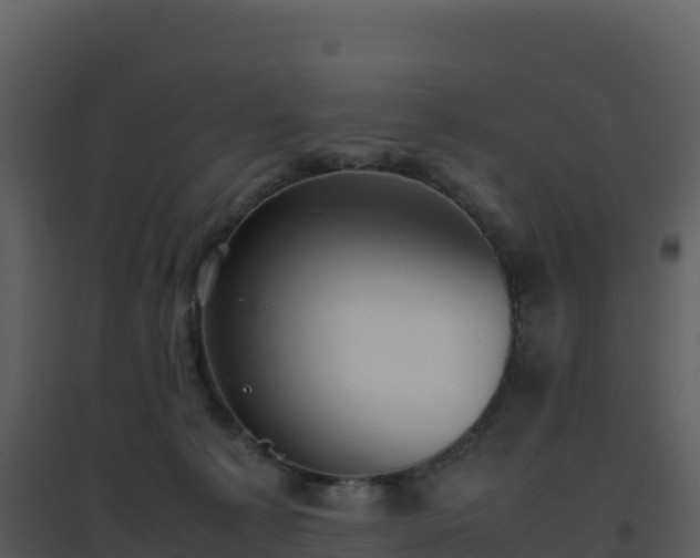 X0000096650225200802121140