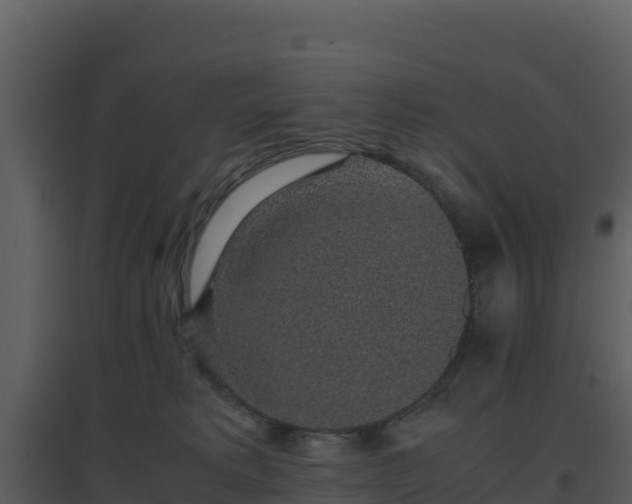 X0000096650229200802121139