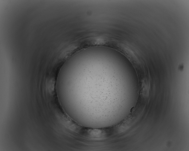 X0000096650230200802121139
