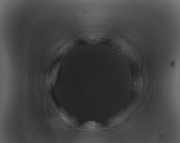 X0000096650231200802121139