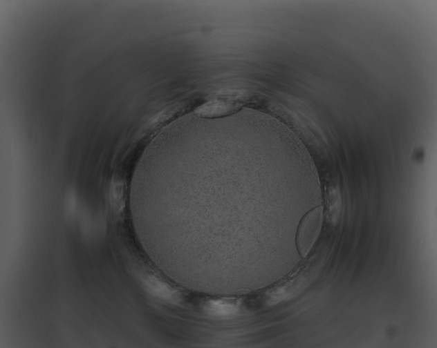 X0000096650232200802121139