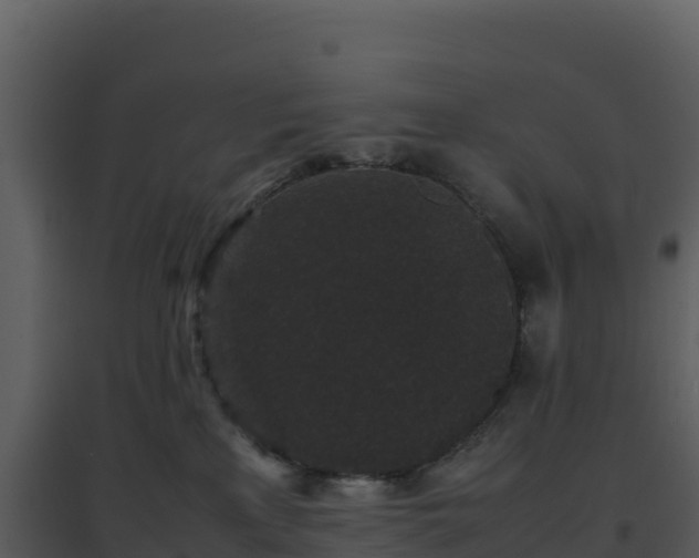 X0000096650233200802121139
