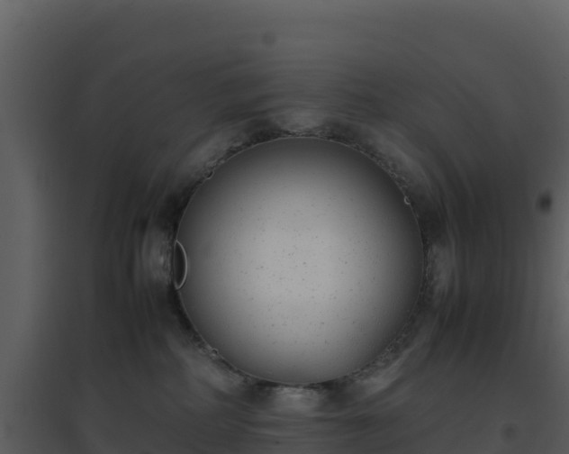 X0000096650234200802121139