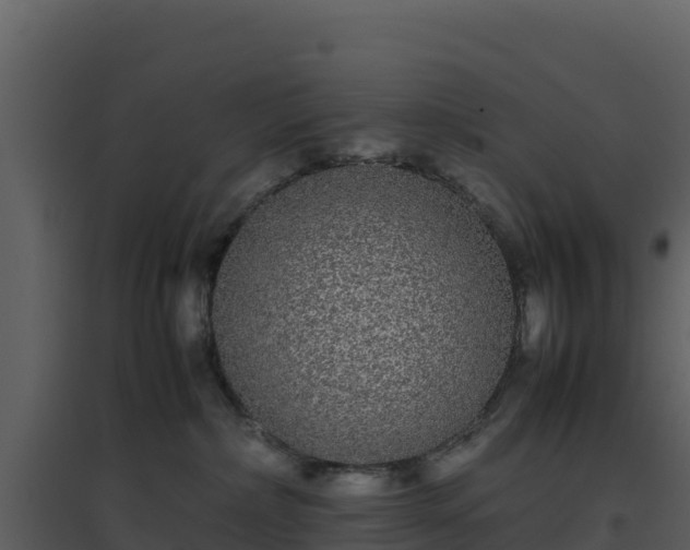 X0000096650236200802121139