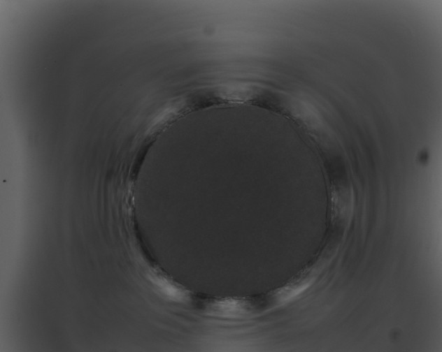 X0000096650237200802121139