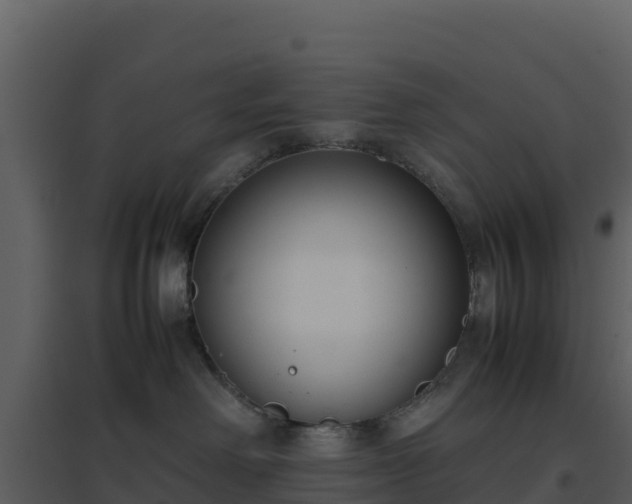 X0000096650238200802121139