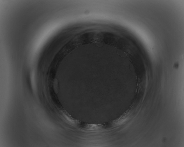 X0000096650239200802121139