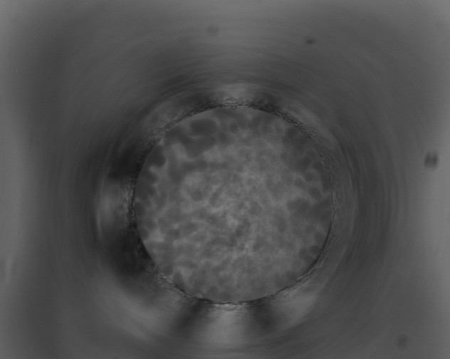 X0000096650240200802121139