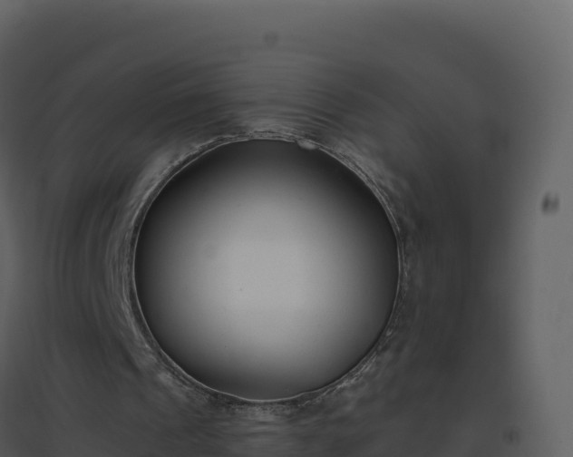 X0000096650241200802121139
