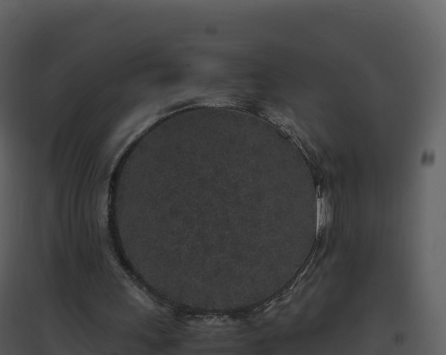 X0000096650243200802121139