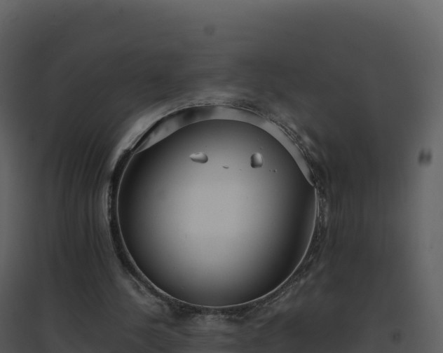 X0000096650244200802121139