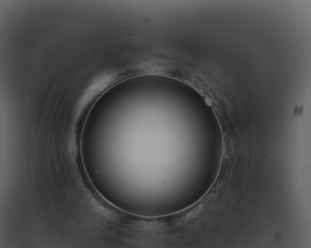 X0000096650245200802121139