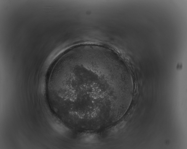 X0000096650247200802121139