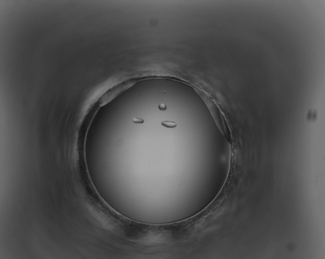 X0000096650248200802121139