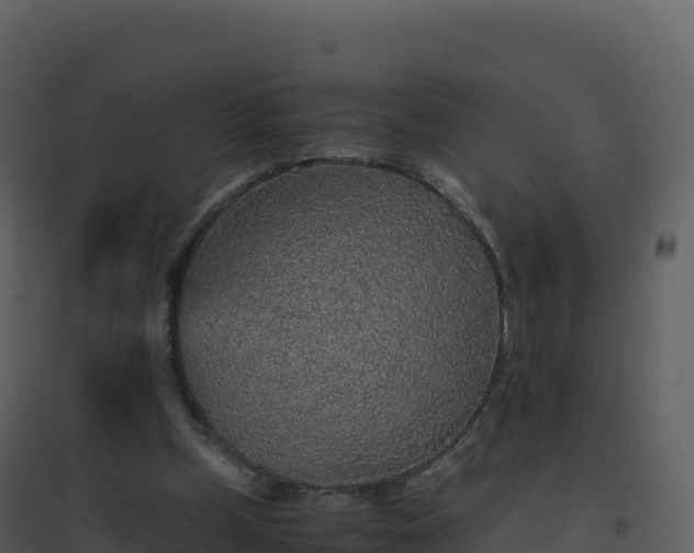X0000096650249200802121139