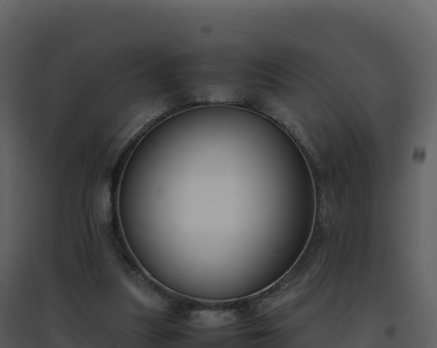 X0000096650251200802121139