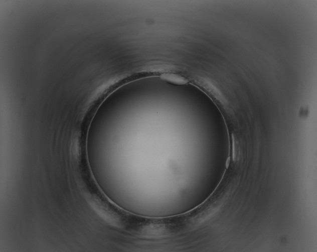 X0000096650252200802121139