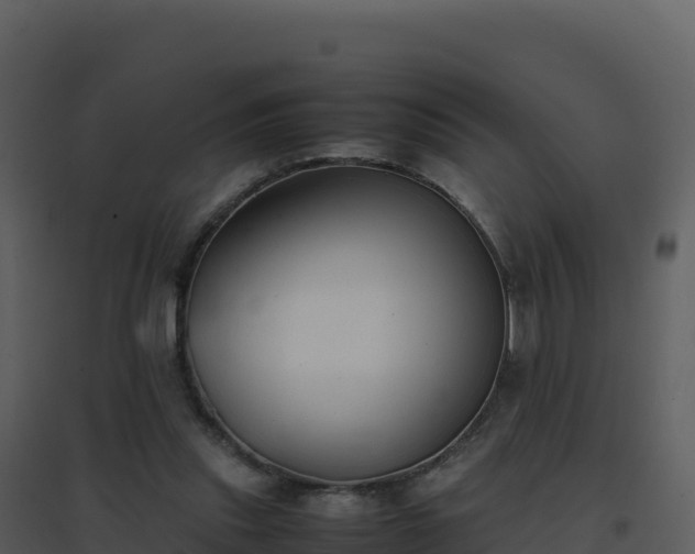 X0000096650253200802121139