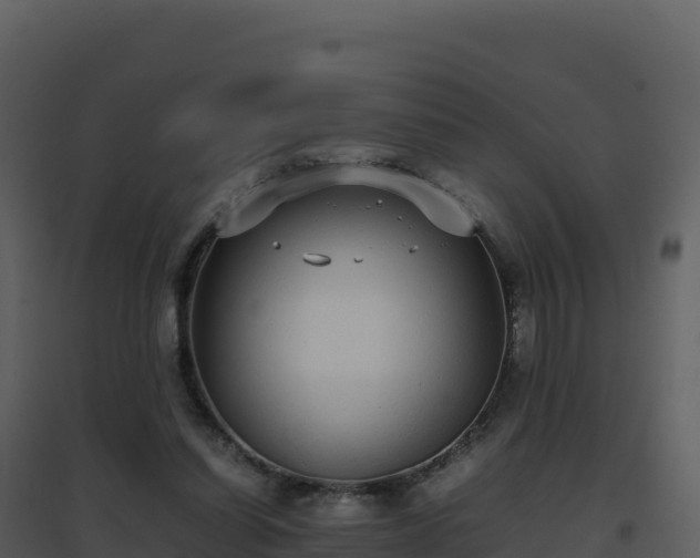 X0000096650254200802121139