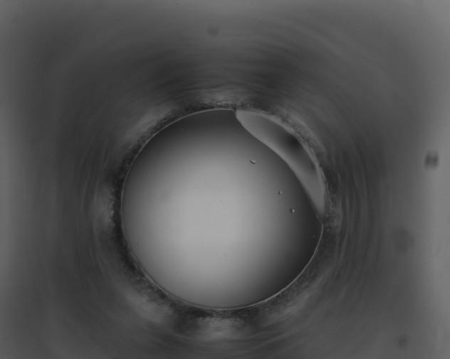 X0000096650255200802121139
