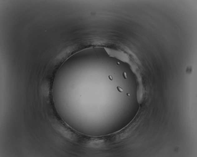 X0000096650257200802121139