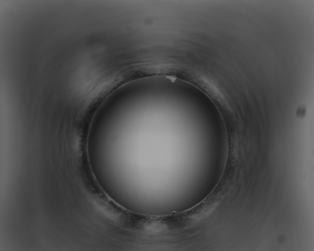 X0000096650258200802121139