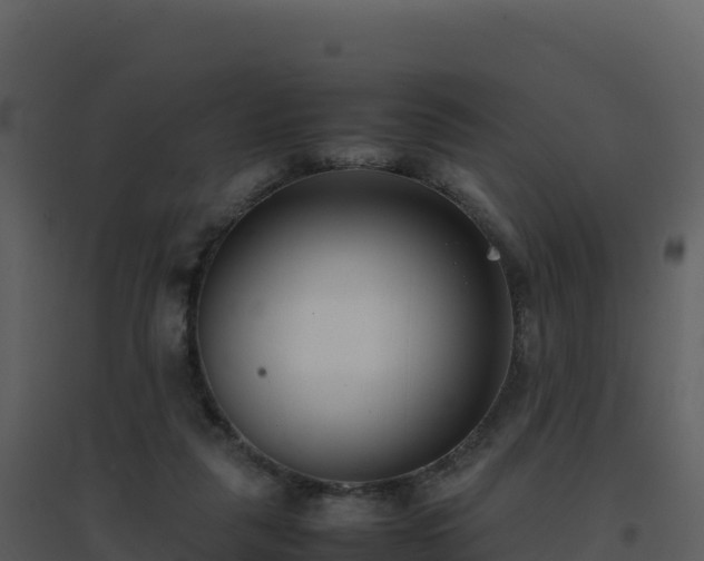 X0000096650259200802121139