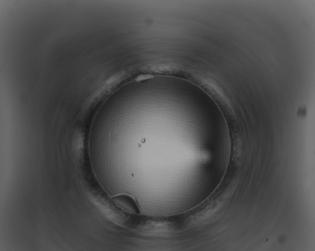 X0000096650260200802121139